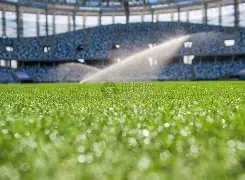 切赫回归英,超指日可待,切尔西总监,球盟会官网玩家首选,球盟会官网H5,球盟会官网游戏平台